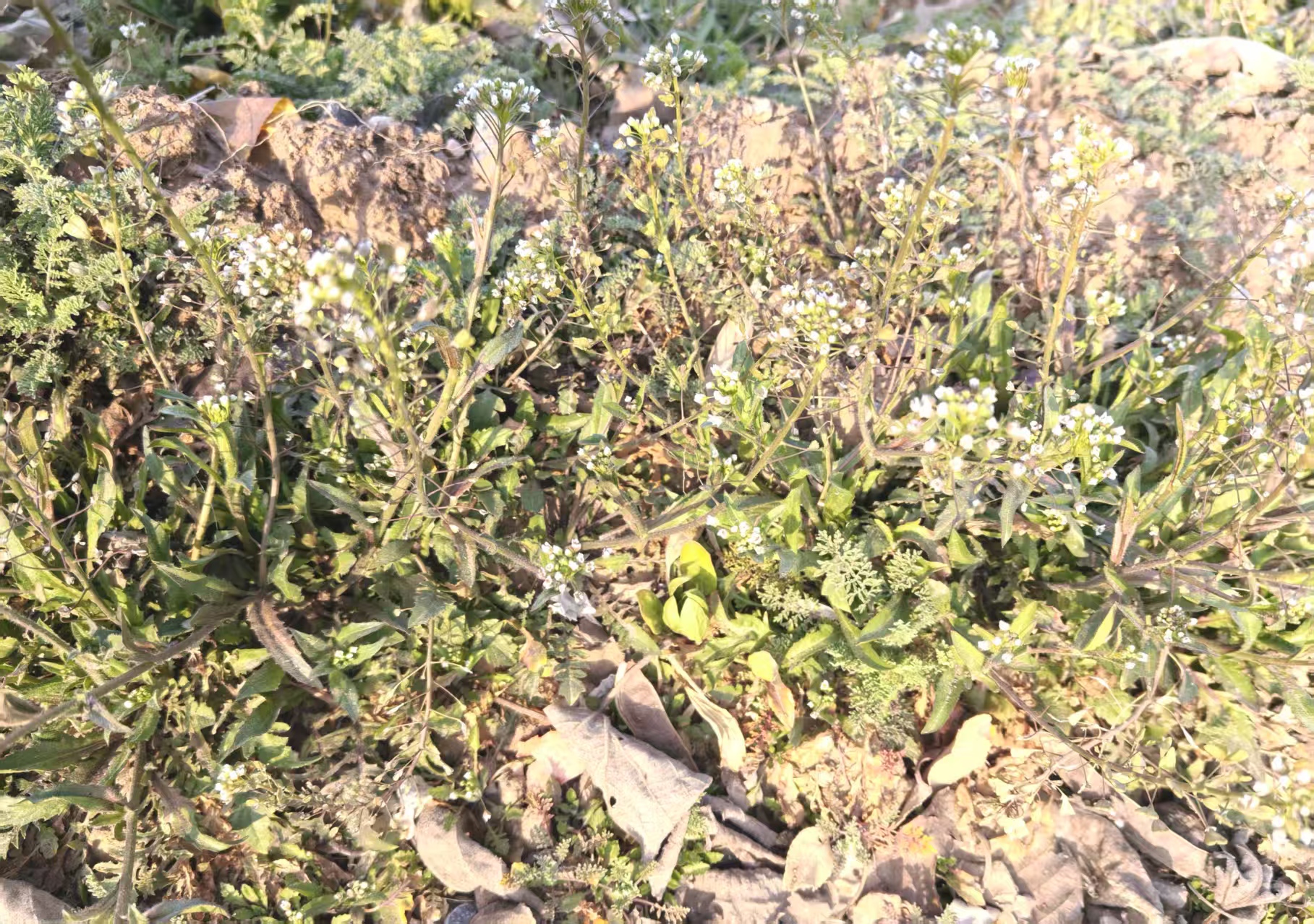 00-5.jpg 00-5.jpg